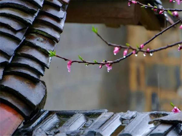 仿古青瓦，青瓦廠家